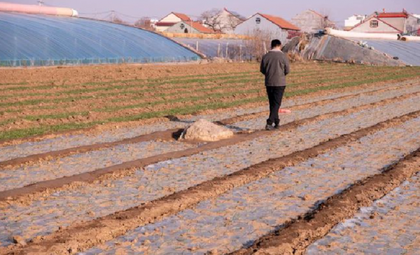 高僅0.6米的“山”，是文物保護單位，還是旅遊開發的“噱頭”？