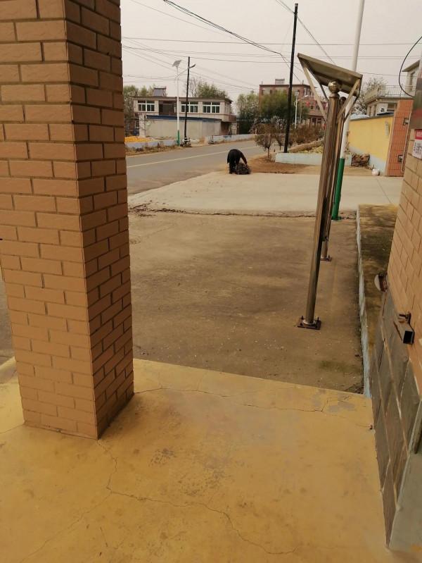 從“黑玫瑰”到“黑煤貴”