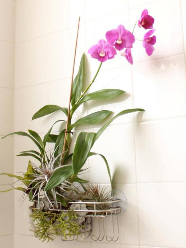 陽光浴室蘭花掛件製作方法