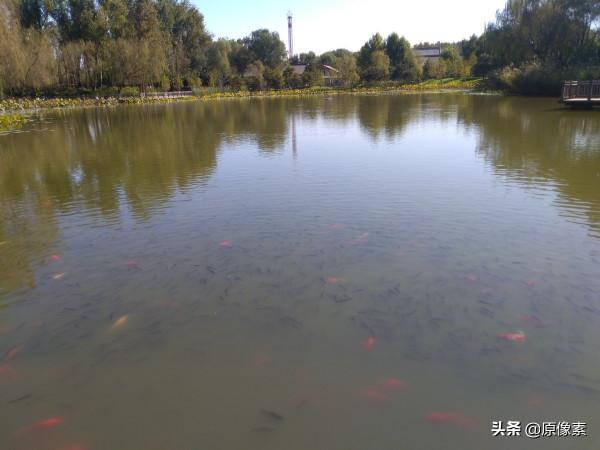 金秋十月，騎行大運河森林公園