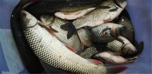 釣魚人必須掌握的一些技巧# 釣魚人必須掌握的一些技巧#