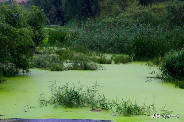 釣友們醒醒吧！野釣“隔夜窩”並不適合你