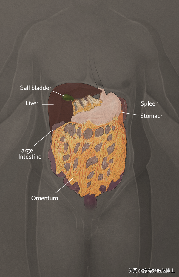 糖尿病並非終身疾病,其實有可能逆轉!逆轉的機制以及策略如何? 糖尿病並非終身疾病,其實有可能逆轉!逆轉的機制以及策略如何?