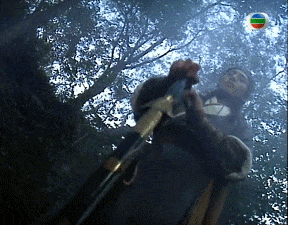 恕我直言:現在的人,跟沒見過帥哥一樣 恕我直言:現在的人,跟沒見過帥哥一樣