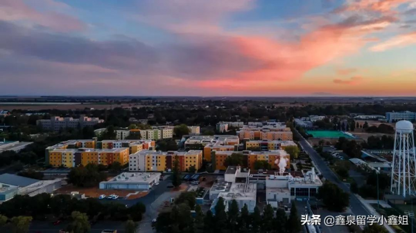 村上春樹又陪跑,本屆諾貝爾獎得主來自哪些院校? 村上春樹又陪跑,本屆諾貝爾獎得主來自哪些院校?