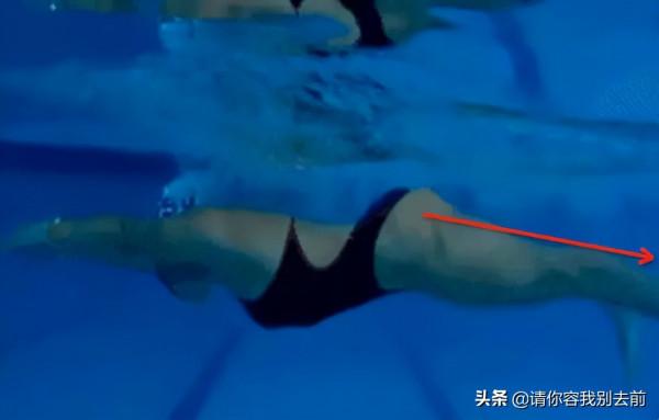 游泳技巧丨不克服這三個腿姿錯誤,你的蛙泳怎麼可能遊得快? 游泳技巧丨不克服這三個腿姿錯誤,你的蛙泳怎麼可能遊得快?