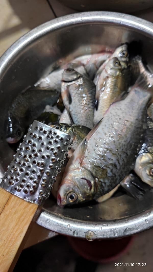 「美食」分享魚餚美味,保證“領導”吃了追著你去釣魚 「美食」分享魚餚美味,保證“領導”吃了追著你去釣魚
