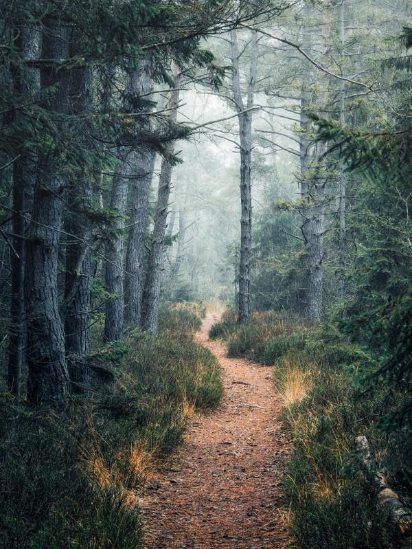 36張圖看精彩世界，巴西情侶被搶，男友撒腿就跑，女子仍淡定吃飯