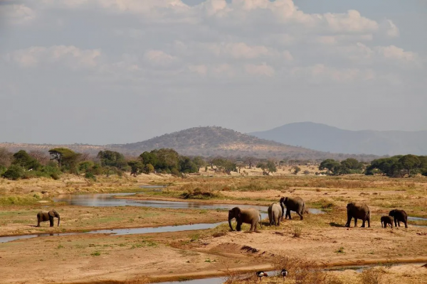 在這10處綠色住宿地,體驗原汁原味的大自然 在這10處綠色住宿地,體驗原汁原味的大自然