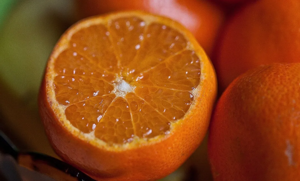 2歲半寶寶因吃砂糖橘和酸奶住進醫院？食物真的有&OpenCurlyDoubleQuote;相生相剋&rdquo;麼