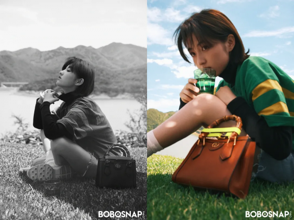 王一博新劇《風起洛陽》開播！河南籍明星大盤點，你最喜歡哪一位