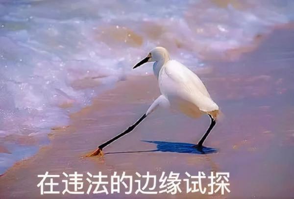 央視記者王冰冰&OpenCurlyDoubleQuote;塌房&rdquo;？侵犯他人隱私的事情能叫黑料嗎？