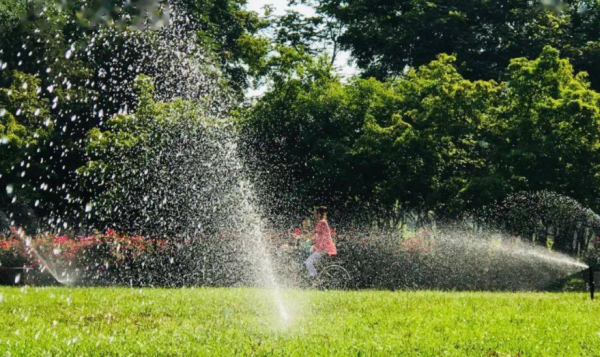 美國人浪費到什麼程度？人口是中國四分之一，消耗卻是中國的四倍