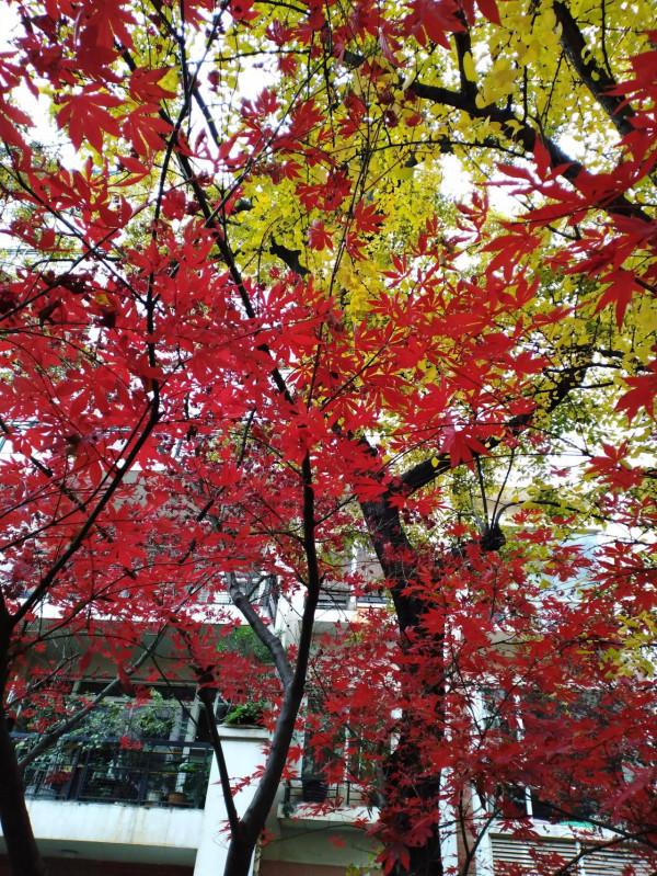 給中老年人的忠告