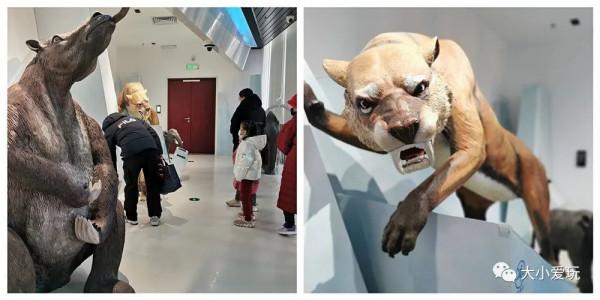 這個帝都新開的萬能博物館你可能還不知道，展覽、電影…全免費