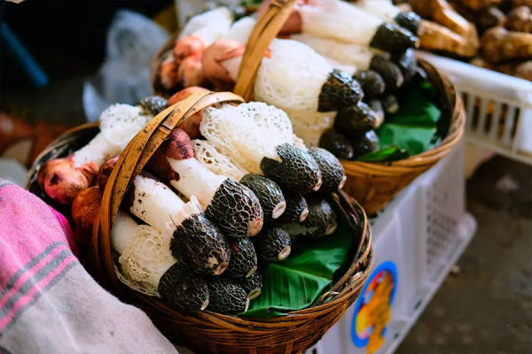 全國立冬喝湯地圖，一碗下去，全身都暖和了