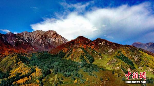 “高原綠色明珠”成金色世界 “高原綠色明珠”成金色世界