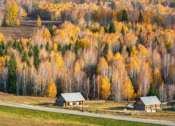 8條適合秋天的短途自駕路線，10-11月出發正當時，您去過幾條？