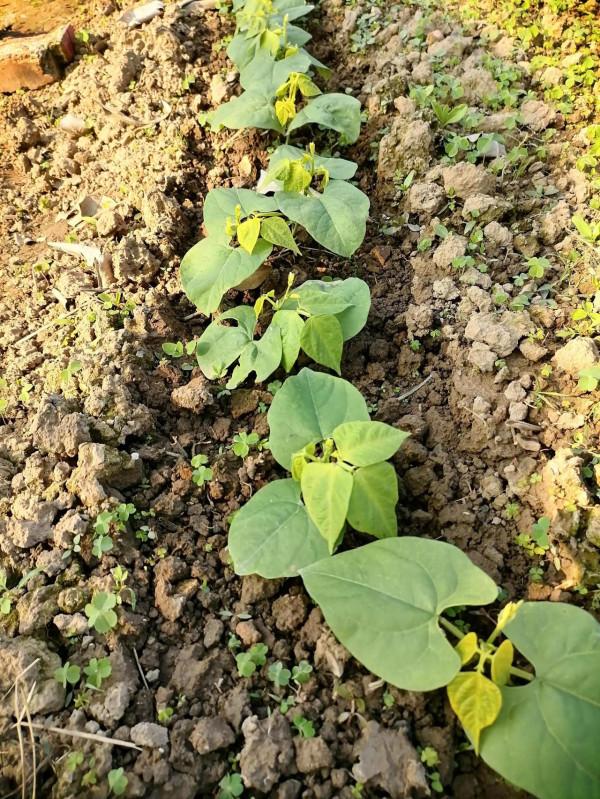 春遊閒逛~ 春遊閒逛~