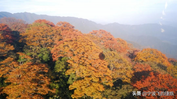 秋天，我建議你一定要去一次貴州