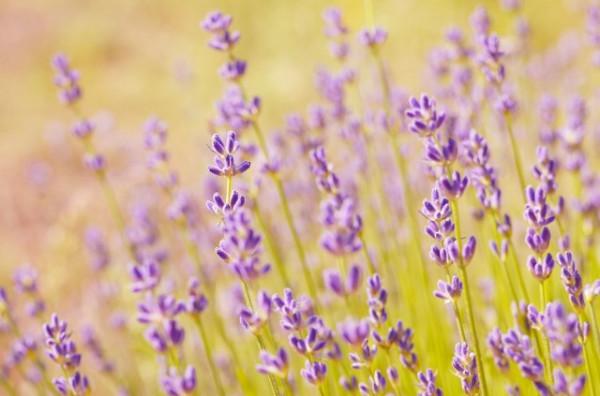 雖然很傷感,但這才是現實⋯⋯ 雖然很傷感,但這才是現實⋯⋯