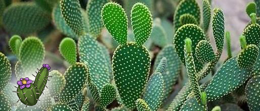 《部落倖存者》重大版本更新預告 勢力系統、建築等新內容