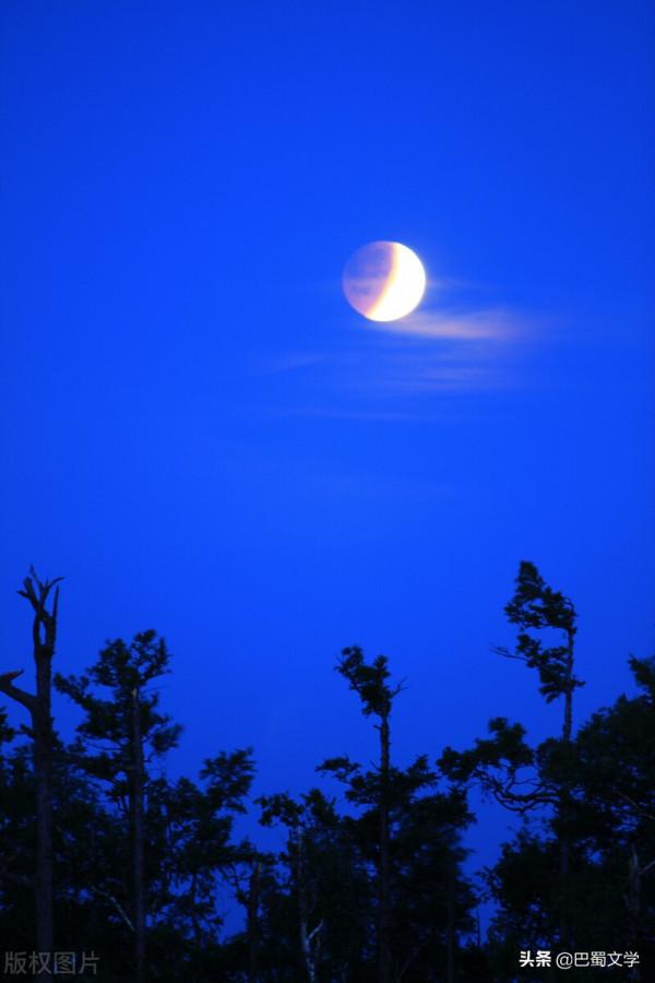 散文:秋蟲的鳴響 散文:秋蟲的鳴響