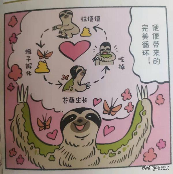 隨意改變性別，還用腳嘗果汁，小動物們可真是任性啊