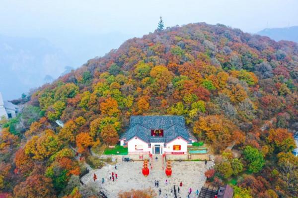 雲臺山紅葉大幕已開啟！最佳觀賞點準備好了
