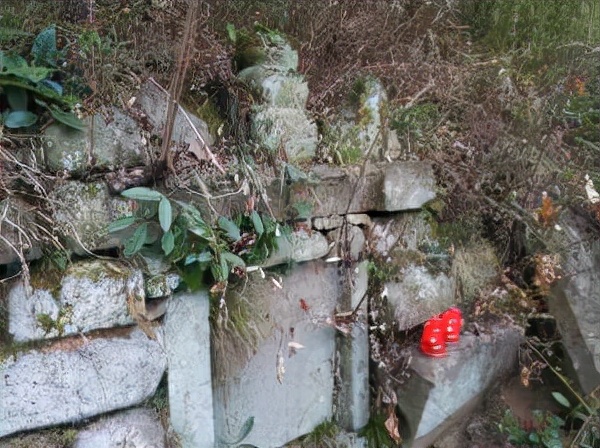 隨著農村人進城定居的越來越多，農村這個生意也逐漸火爆起來