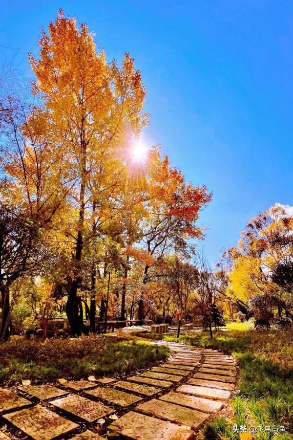 地上不夠耍要上房頂