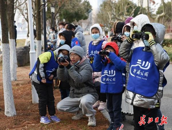 探尋鳥兒飛行的奧秘