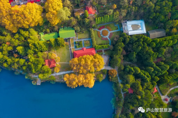 一聲梧葉一聲秋，廬山開啟七彩秋色模式