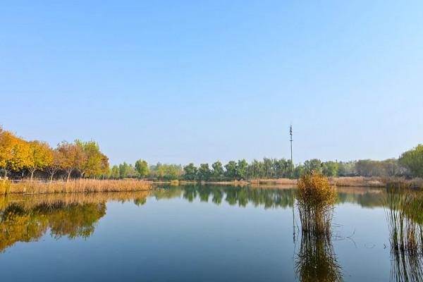 獨一無二！公園裡也能跑火車！京西這處免費的森林公園，值得玩