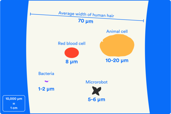 科學 | 捷克科學家開發微型機器人，可以分解海洋中的微塑膠
