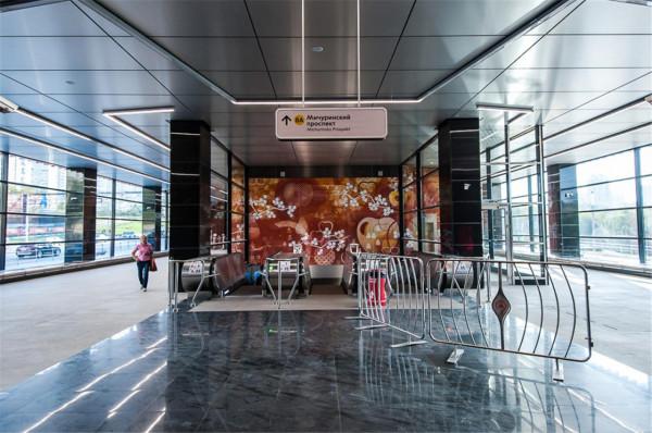 中國鐵建造的俄羅斯地鐵站，中國風走成“陰間”畫風？