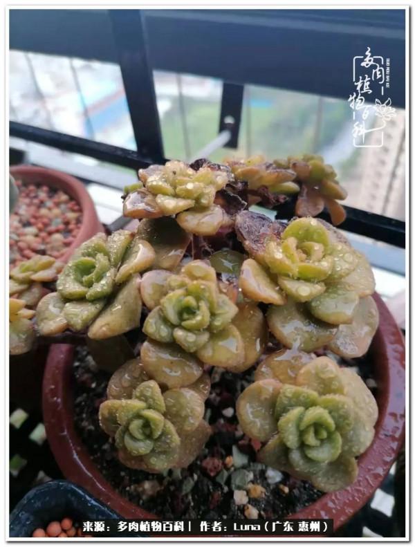 學會和解:與自己、與他人、與世界 學會和解:與自己、與他人、與世界