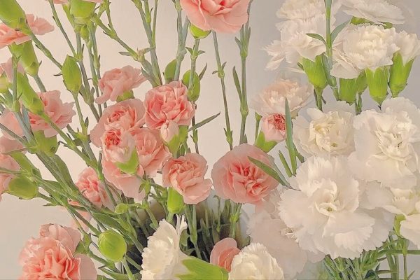 不會說漂亮話，只會用行動證明自己的星座，踏實勤懇，值得深交