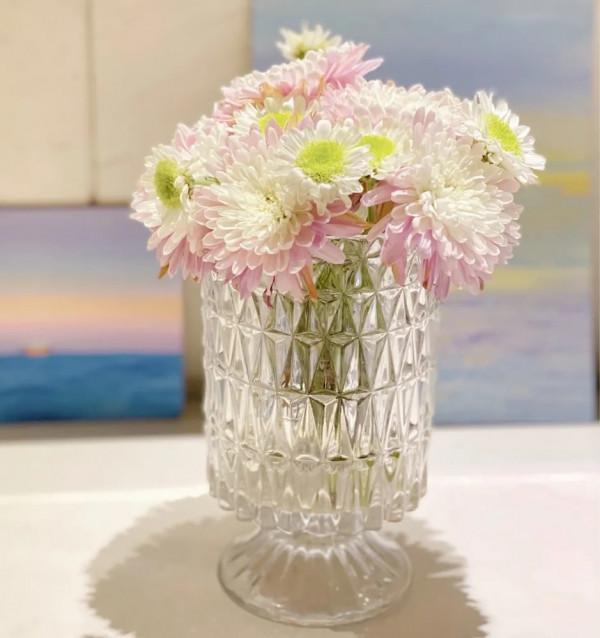 最推薦你買的花——小菊