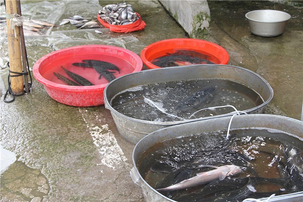 68歲糖友用3個月時間血糖從16降到6，看看他分享的控糖方法