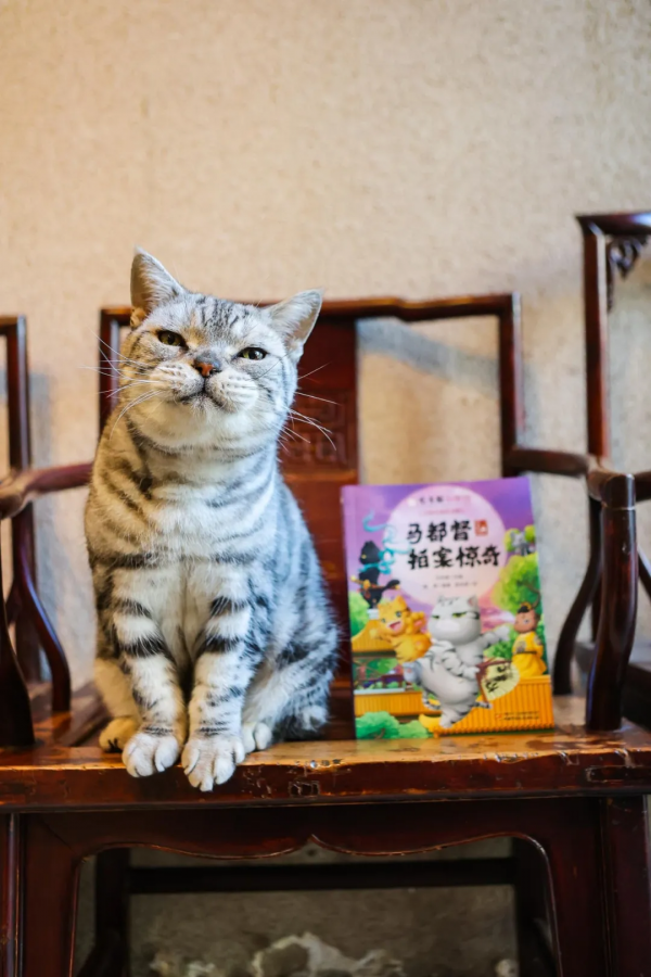 馬都督拍案驚奇