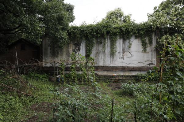 三線系列之35：湖北蒲圻紡織總廠，第3110工廠，蒲紡集團