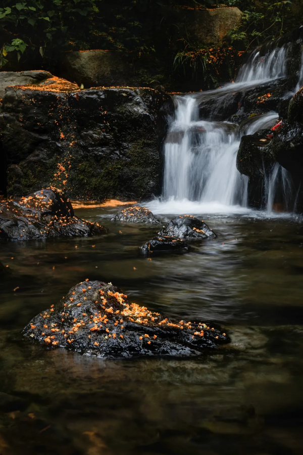 來了！中國賞秋地圖