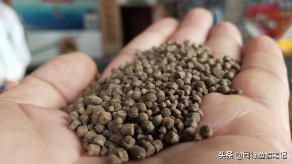 為什麼說精麻團是一款即可坑釣也可野釣鯉魚的輔助良品？