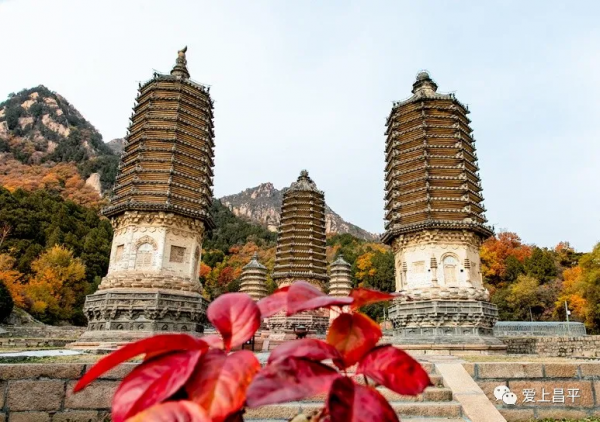 氣溫驟降,昌平這6個賞紅葉地即將登場,提前收藏 氣溫驟降,昌平這6個賞紅葉地即將登場,提前收藏