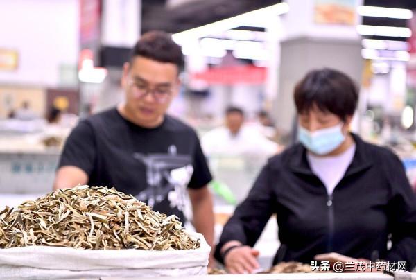 雲南昆明中藥材市場價格行情 9月18日 蘭茂藥材網