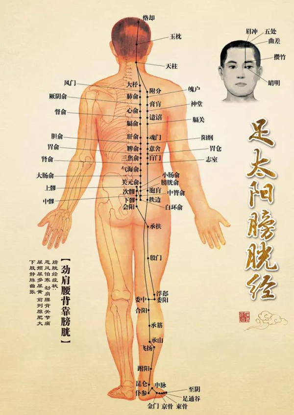 督脈不通,陽氣衰!1個小動作,通督脈,昇陽氣,改善手腳冰涼 督脈不通,陽氣衰!1個小動作,通督脈,昇陽氣,改善手腳冰涼