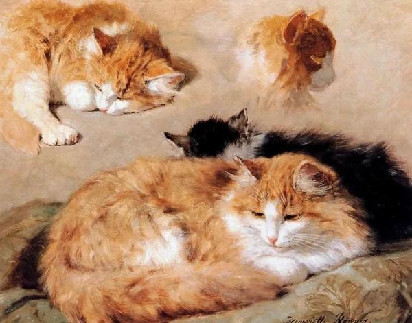 100年前她畫了超多貓，姿態萬千，惟妙惟肖