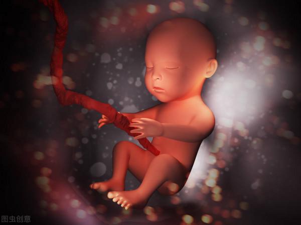 十月懷胎,媽媽和孩子會經歷什麼?令人驚訝,胎寶寶也在照顧媽媽 十月懷胎,媽媽和孩子會經歷什麼?令人驚訝,胎寶寶也在照顧媽媽