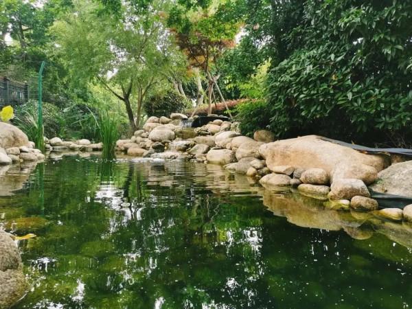 為什麼我們做任何事,都要強調心定,心靜呢? 為什麼我們做任何事,都要強調心定,心靜呢?